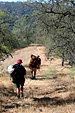 HC_hike